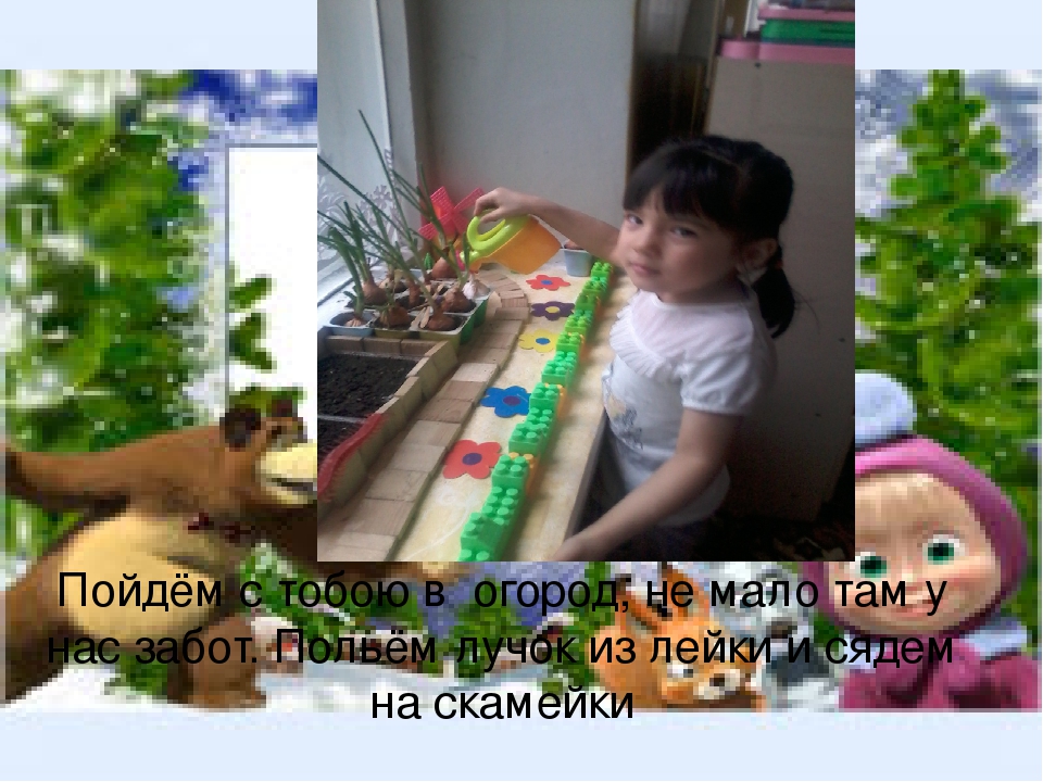 Презентация огород на подоконнике