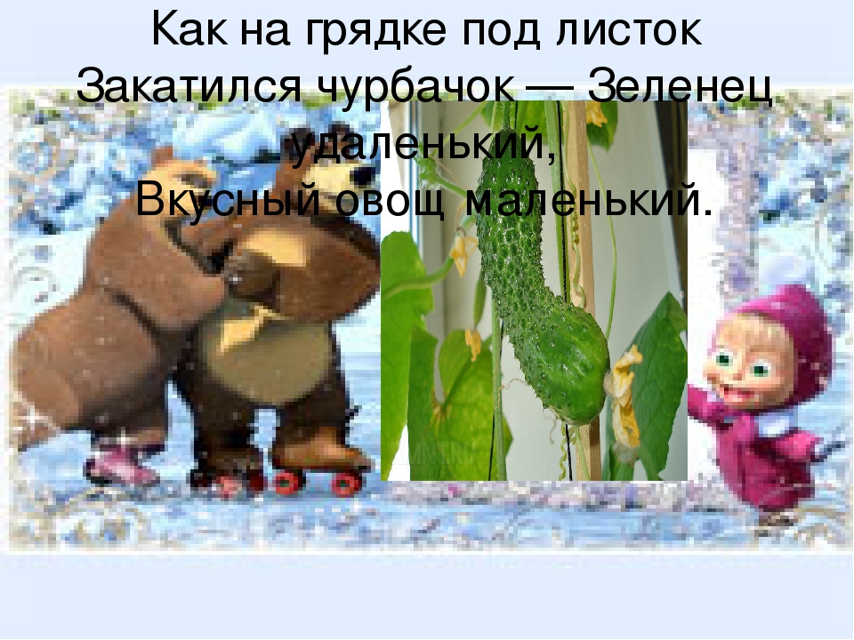 Презентация огород на подоконнике