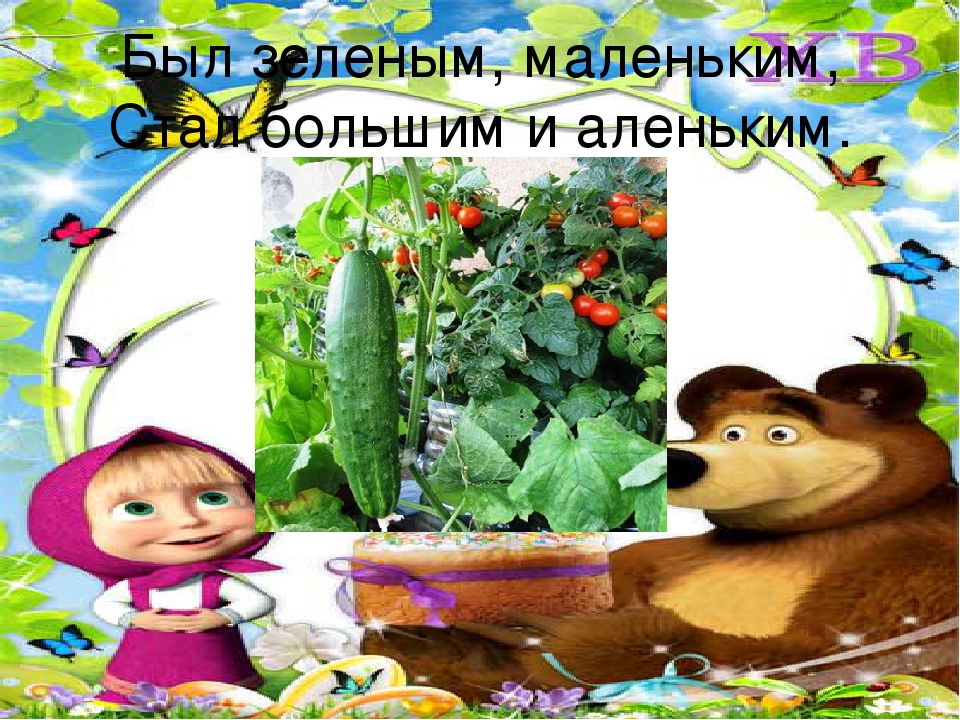 Презентация огород на подоконнике