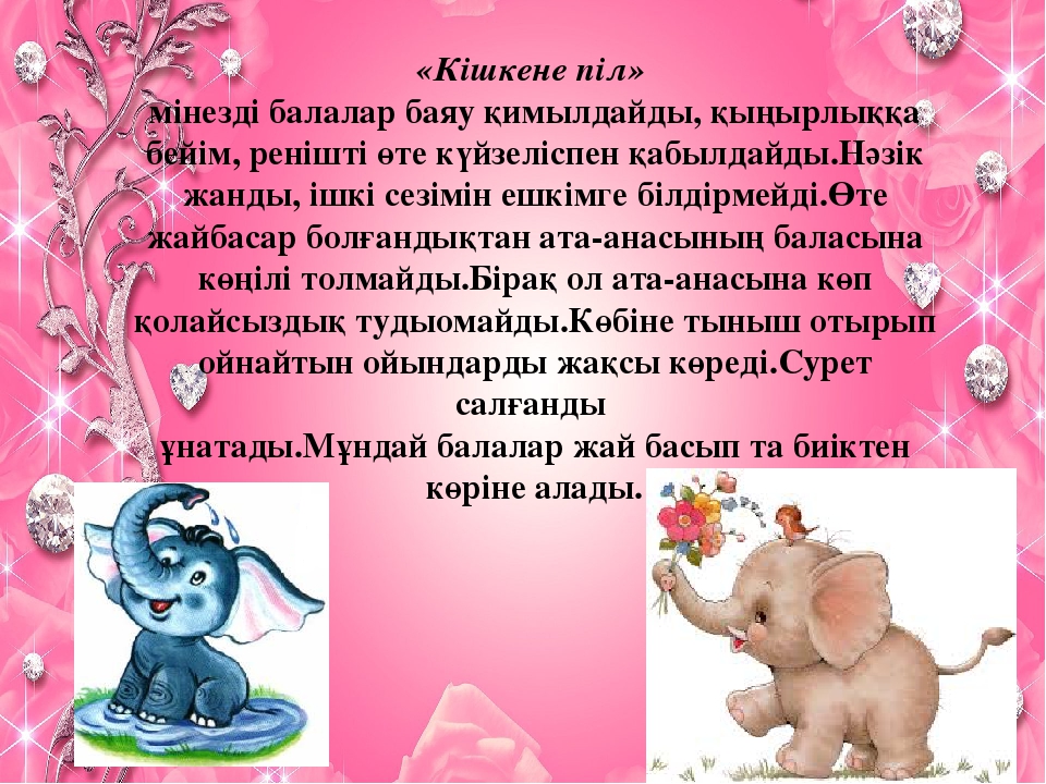 «Бала өмірдің гүлі, күннің нұры» тренинг (балабақша)