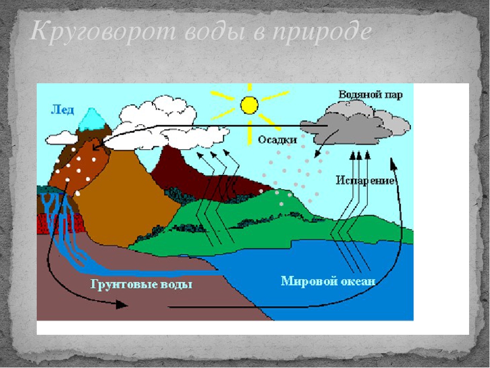 Экологический проект старшей группы на тему "Вода"