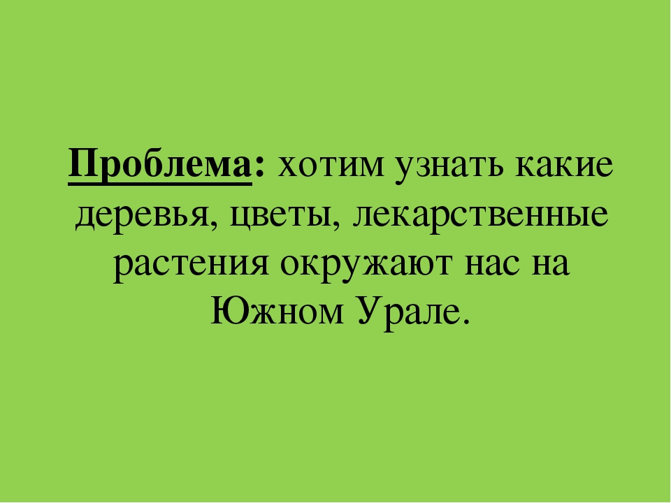 Презентация "Растительный мир Южного Урала"