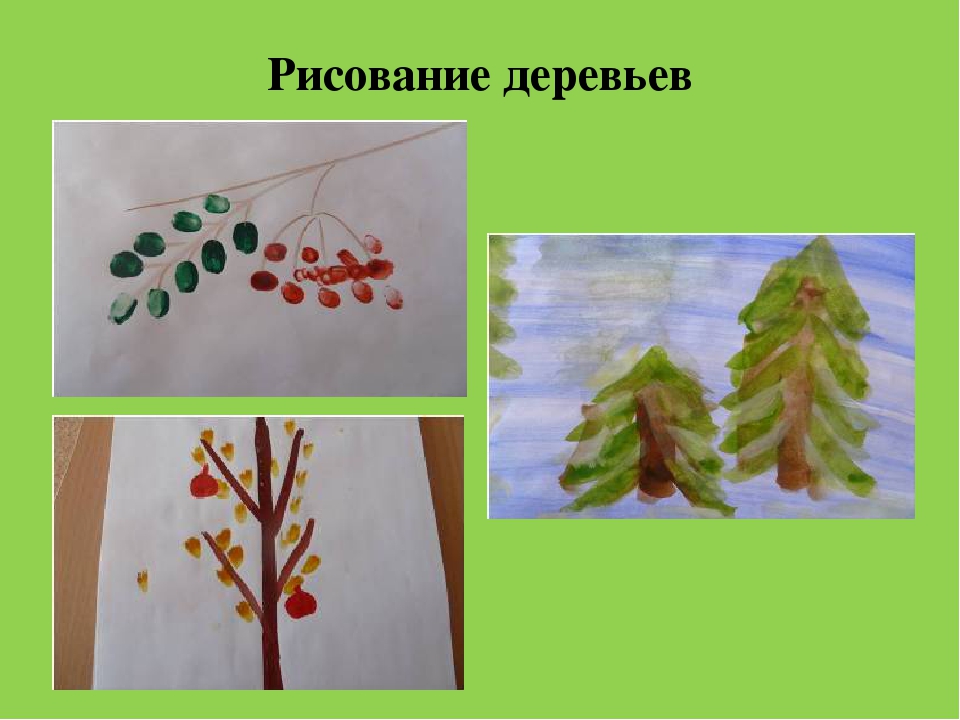 Презентация "Растительный мир Южного Урала"