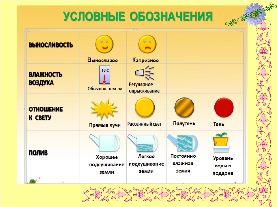 Презентация по экологии " Цветочный калейдоскоп"