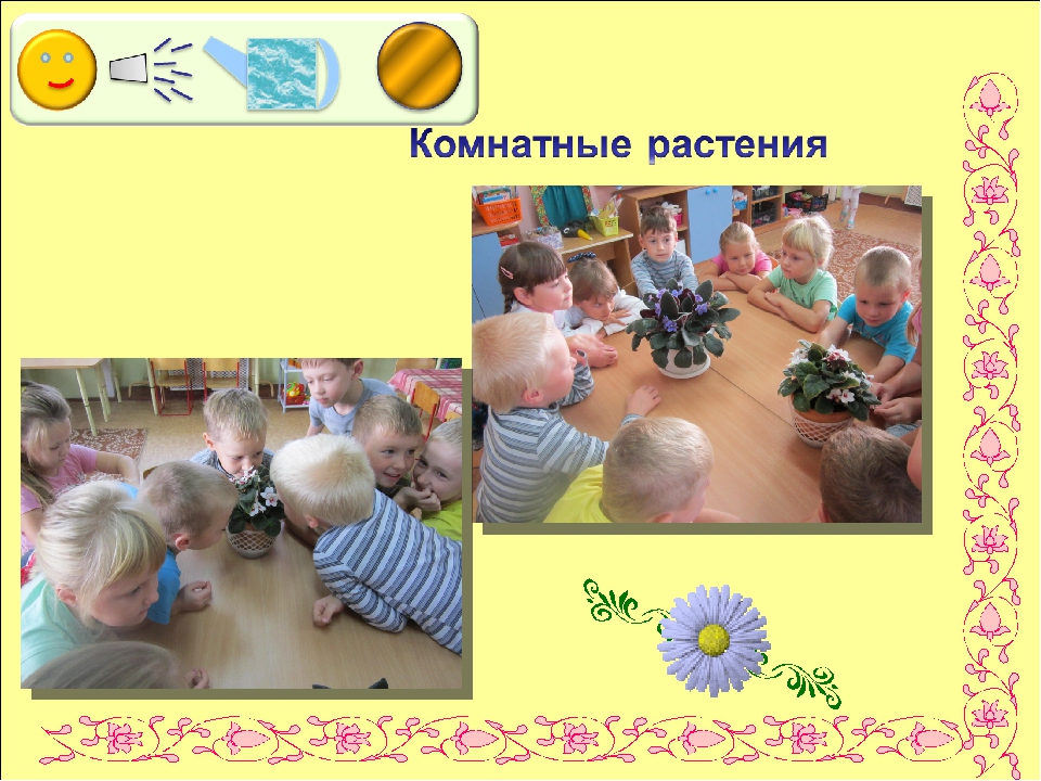 Презентация по экологии " Цветочный калейдоскоп"