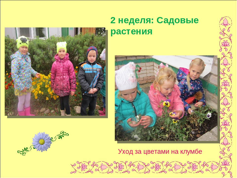 Презентация по экологии " Цветочный калейдоскоп"