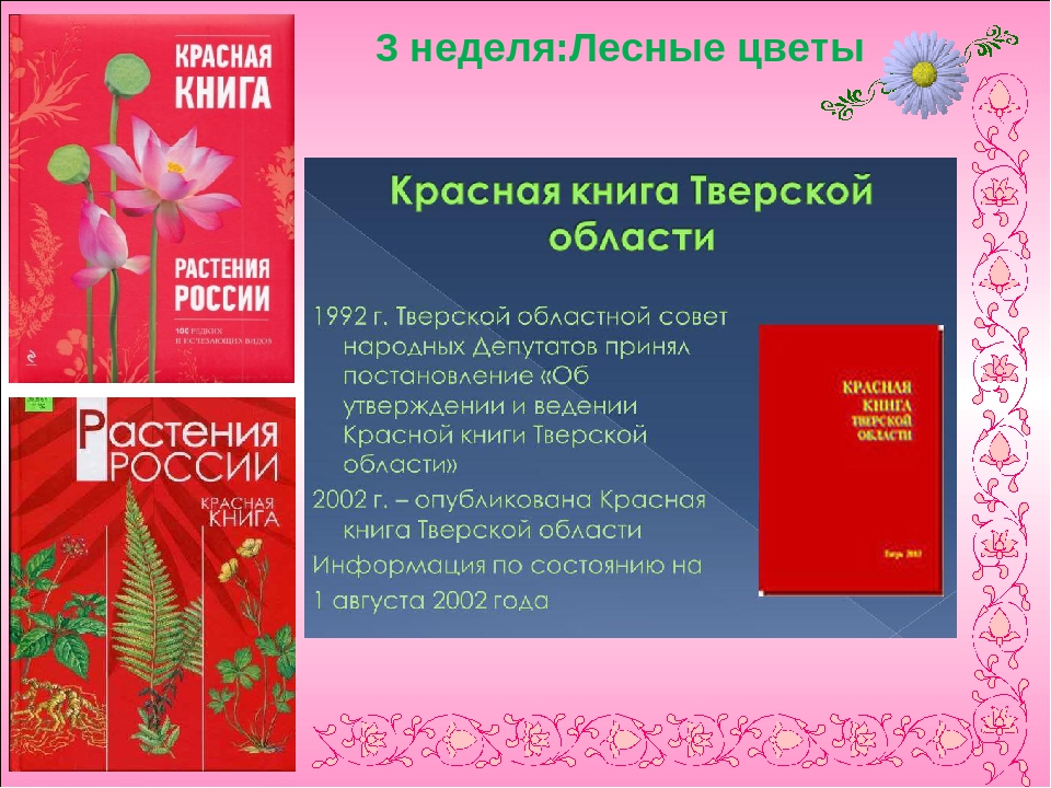 Презентация по экологии " Цветочный калейдоскоп"