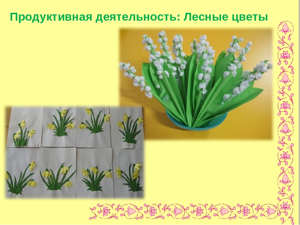 Презентация по экологии " Цветочный калейдоскоп"
