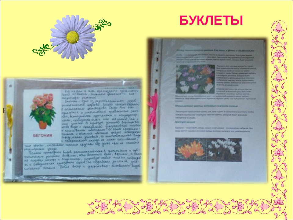 Презентация по экологии " Цветочный калейдоскоп"