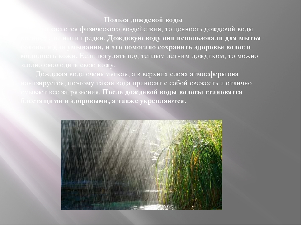 Роль дождя в жизни растений и животных. Дождевая вода. Дождевая вода польза. Свойства дождевой воды. Характеристика дождевая вода,.