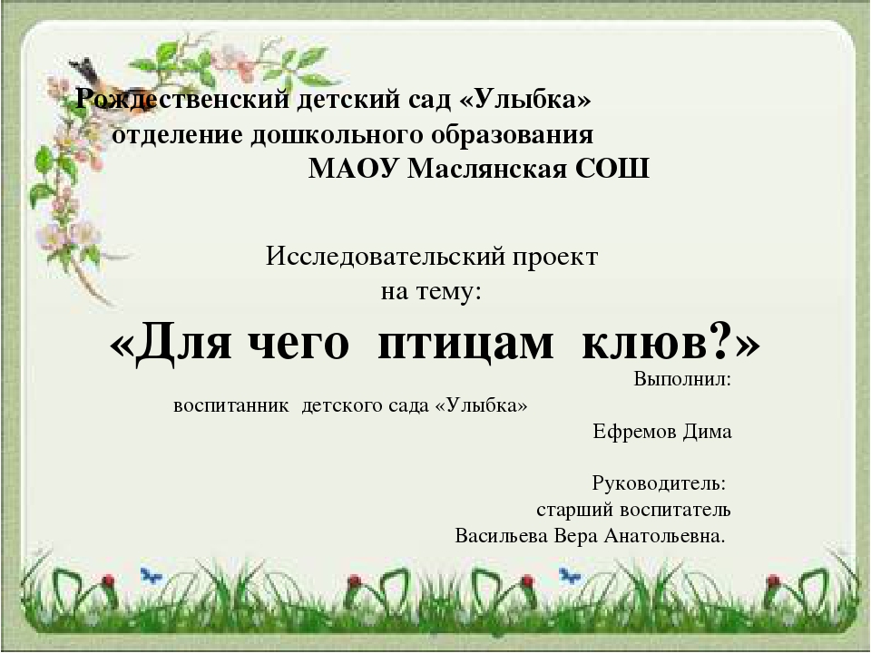 Презентация для чего птицам клюв?