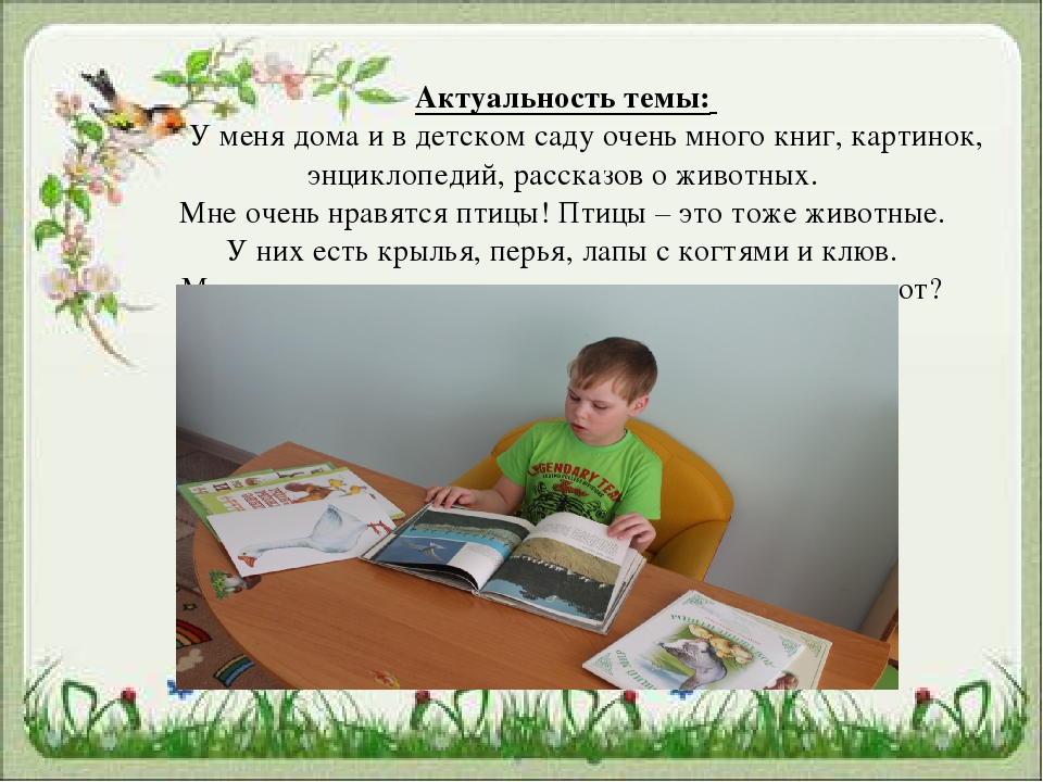 Презентация для чего птицам клюв?