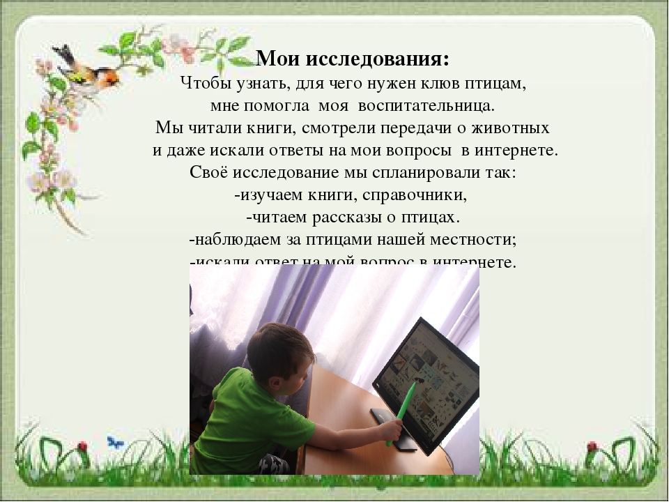 Презентация для чего птицам клюв?