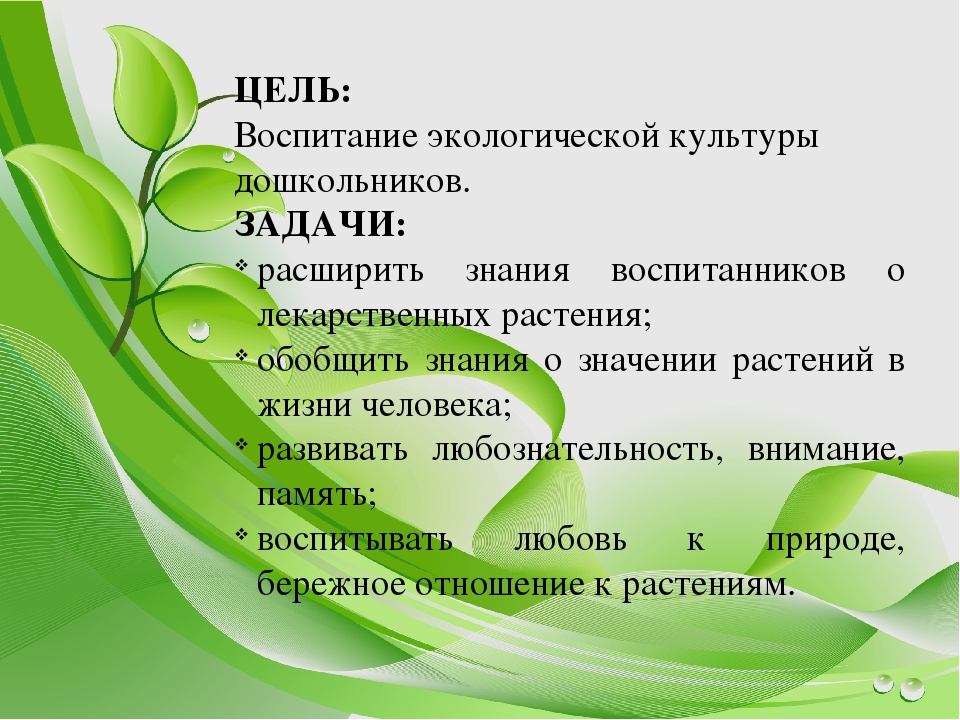 Презентация "Зеленая аптека. Лекарственные растения нашего края" для детей старшего дошкольного возраста.