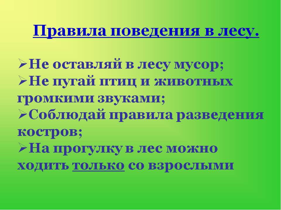 Презентация к занятию "Чудеса в сундучке"