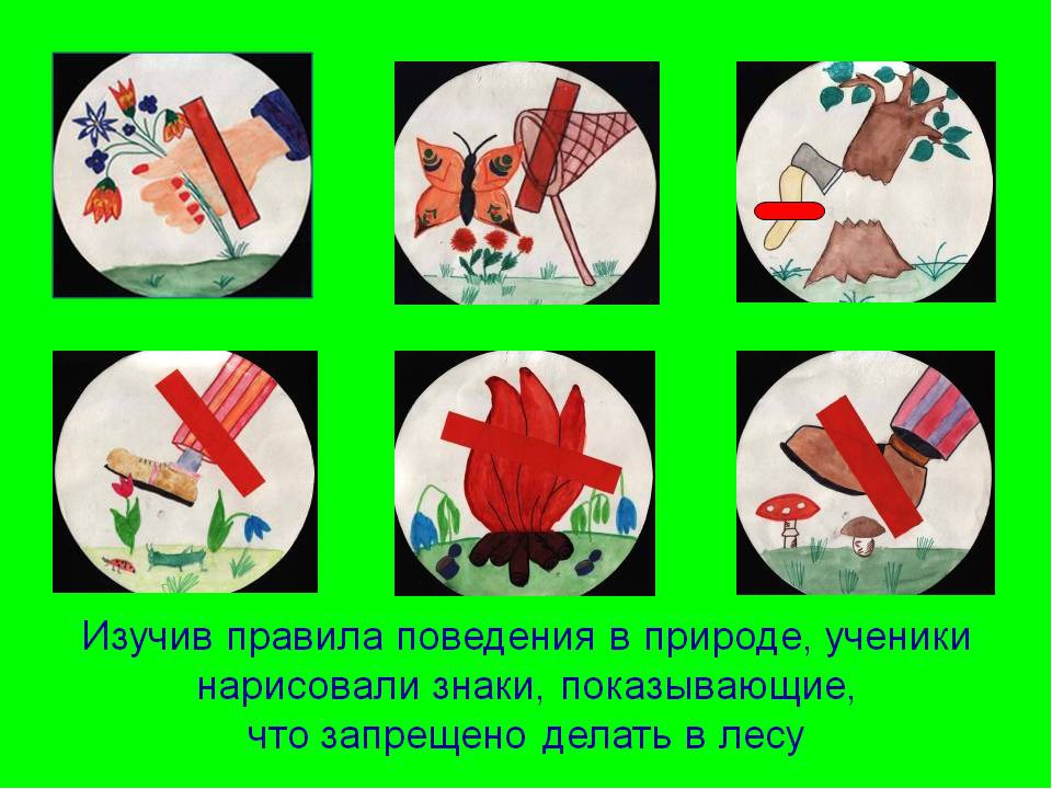 Презентация к занятию "Чудеса в сундучке"