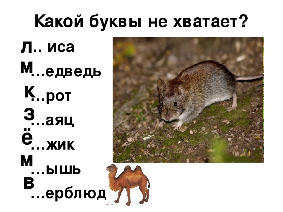 Презентация к занятию "Чудеса в сундучке"