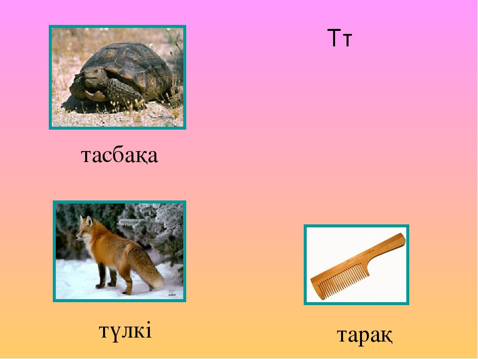 Презентация казак тілінде "Алфавиті"