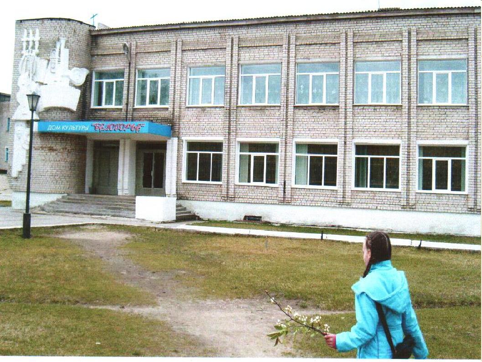 Обобщение опыта "Взаимодействие ДОУ с социумом в рамках реализации задач ФГОС" презентация