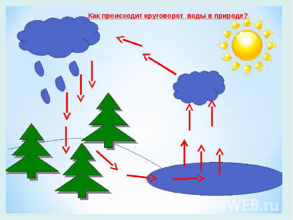Презентация для среднего дошкольного возраста "Волшебница вода"