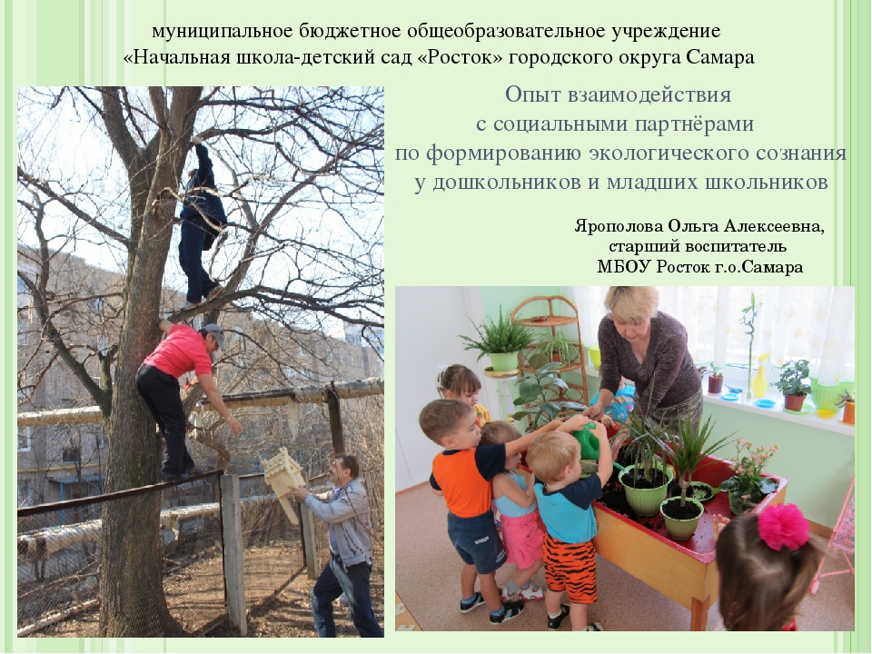 Презентация "Опыт взаимодействия с социальными партнёрами по формированию экологического сознания у дошкольников и младших школьников"