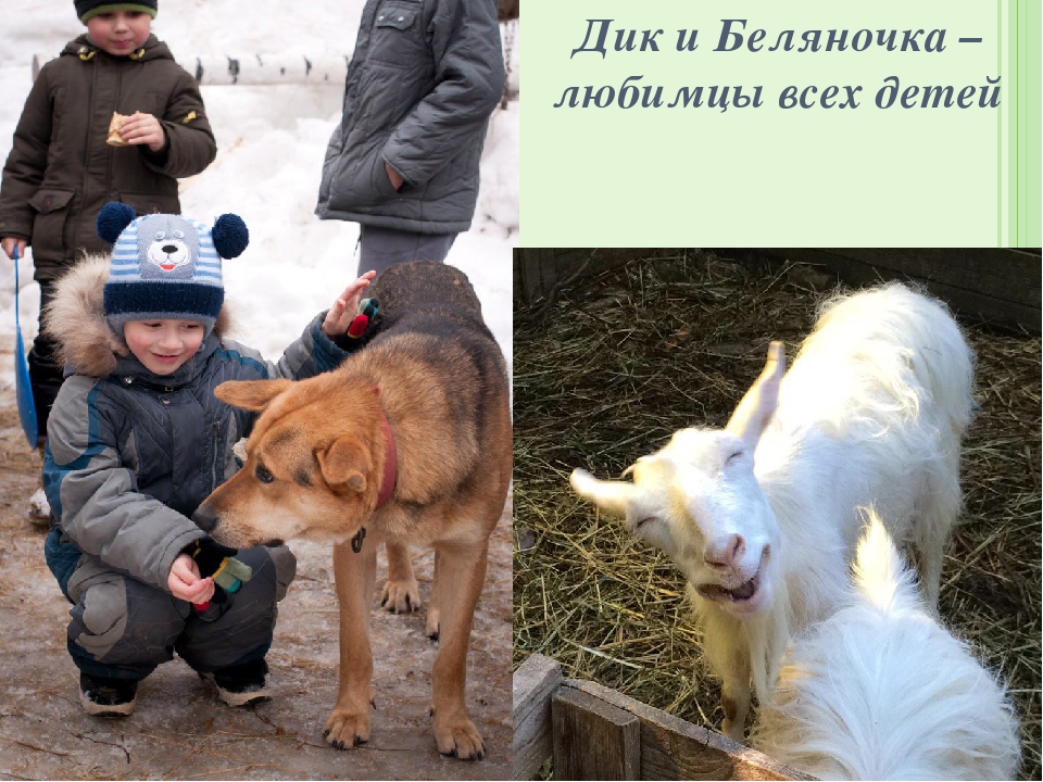 Презентация "Опыт взаимодействия с социальными партнёрами по формированию экологического сознания у дошкольников и младших школьников"
