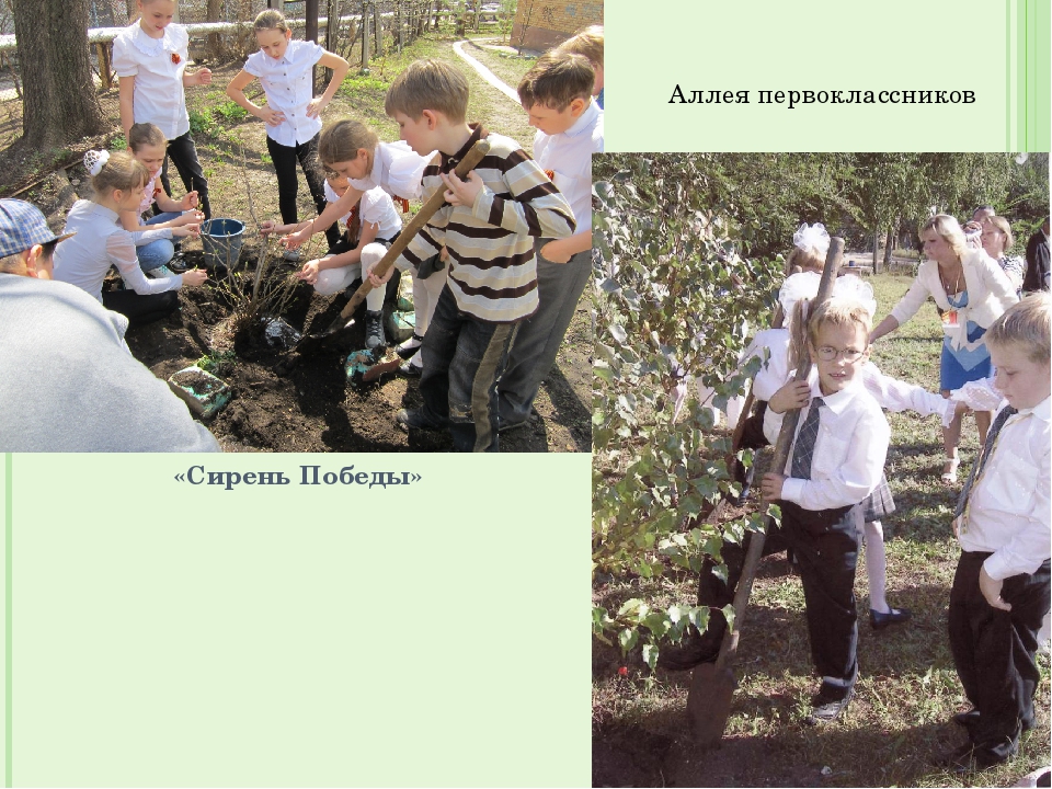 Презентация "Опыт взаимодействия с социальными партнёрами по формированию экологического сознания у дошкольников и младших школьников"