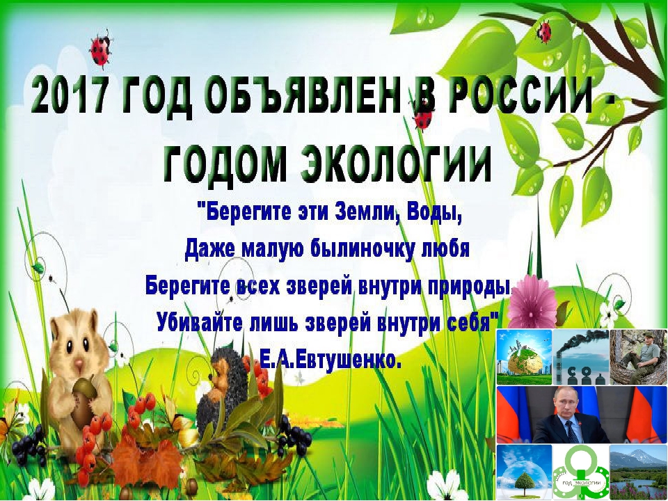 Мастер-класс «Использование игровых макетов в экологическом воспитании детей»