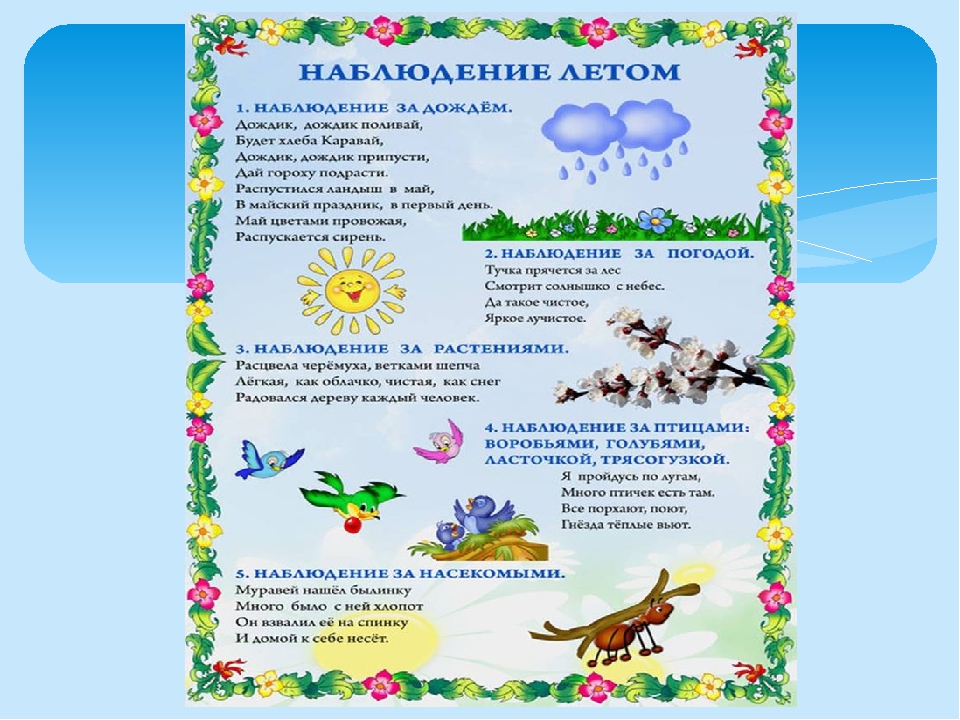 Презентация на тему "Лето"