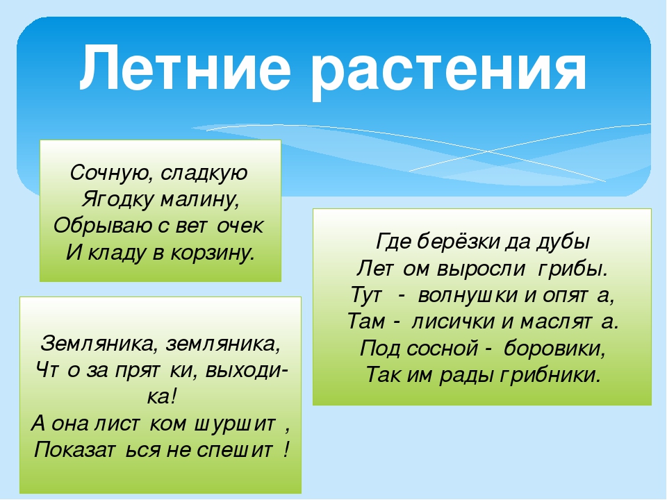 Презентация на тему "Лето"