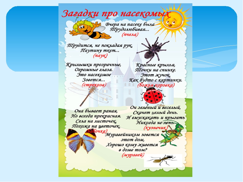 Презентация на тему "Лето"