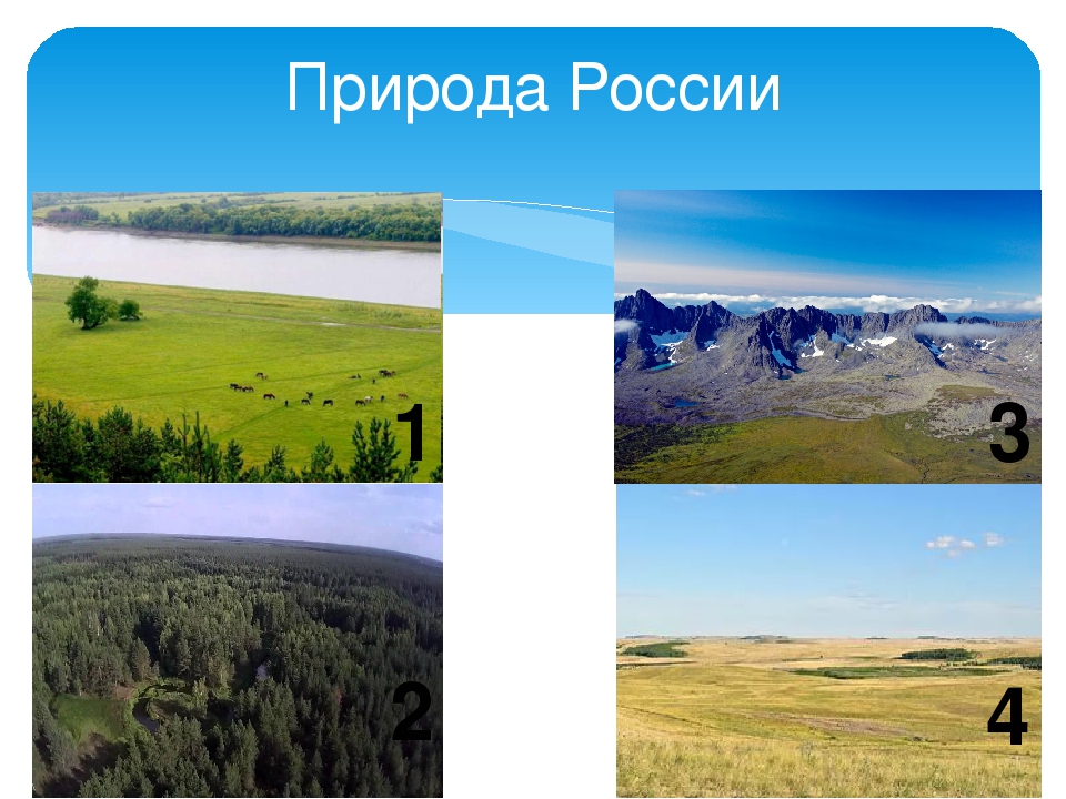 Познавательный досуг "Путешествие по России"