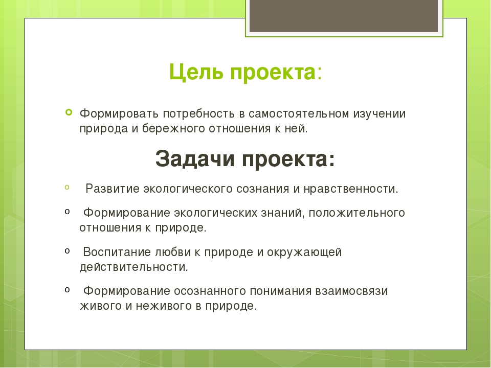 Проект "Всё начинается с детства" для детей старшего возраста