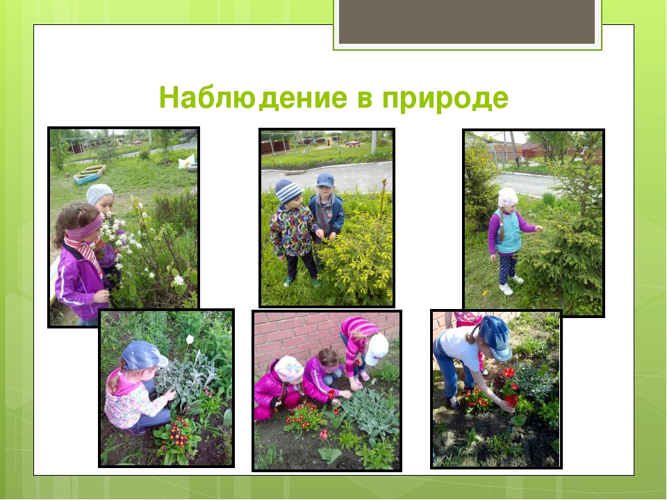 Проект "Всё начинается с детства" для детей старшего возраста