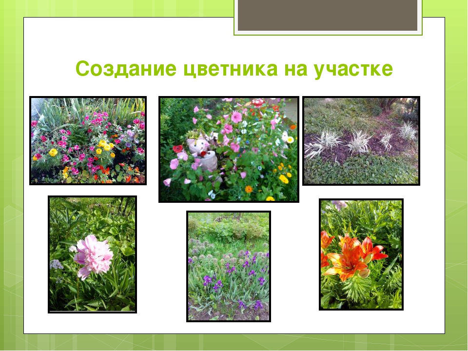 Проект "Всё начинается с детства" для детей старшего возраста