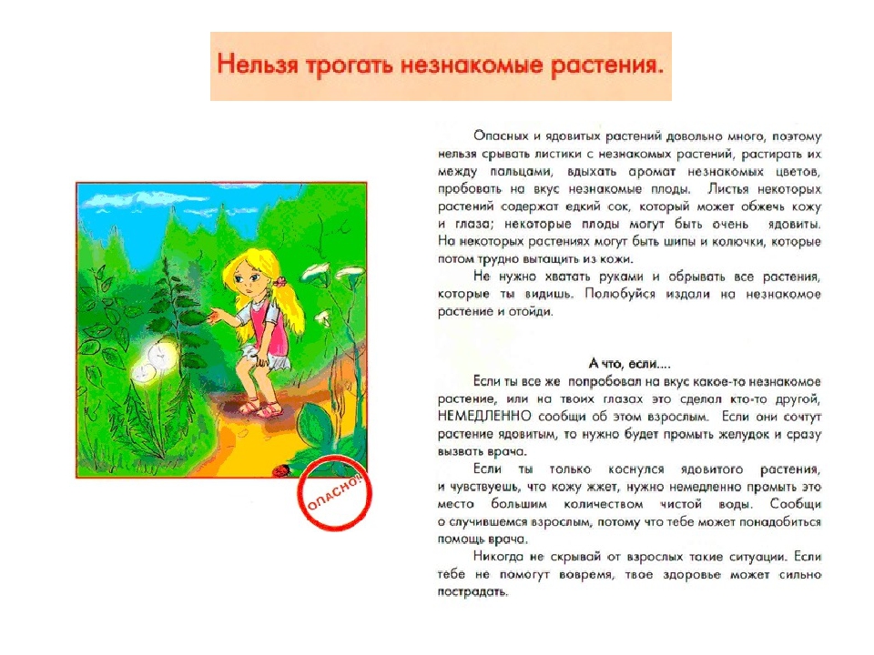 Презентация .Расскажите детям. Безопасность детей в летний период (памятка для родителей)