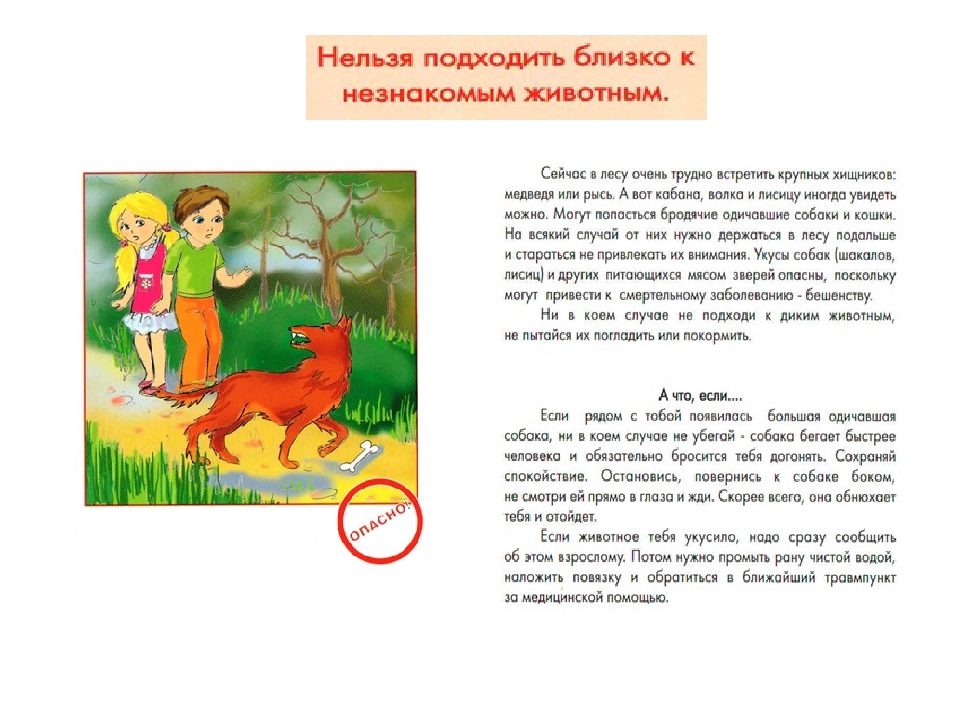 Презентация .Расскажите детям. Безопасность детей в летний период (памятка для родителей)