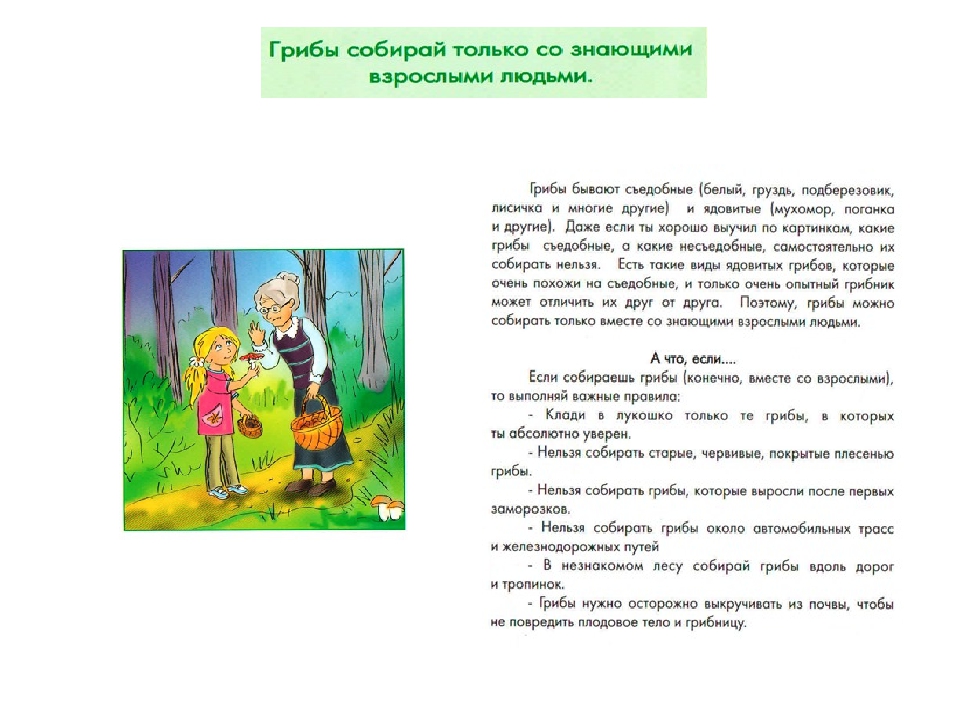 Презентация .Расскажите детям. Безопасность детей в летний период (памятка для родителей)