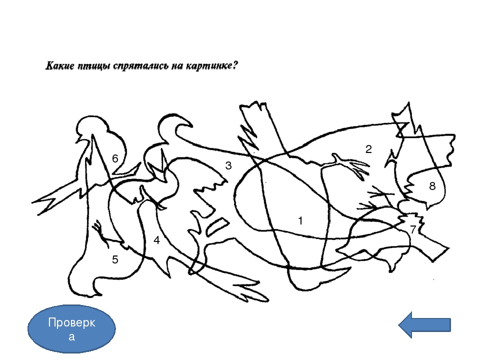 Презентация по зкологическому воспитанию"Экотропа"