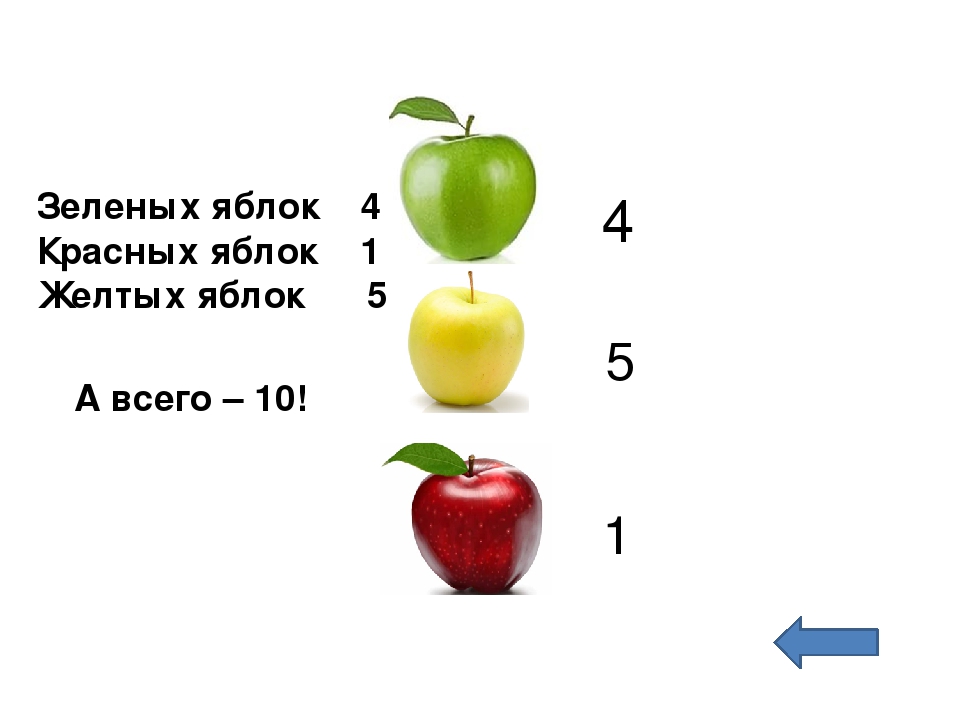 Презентация по зкологическому воспитанию"Экотропа"