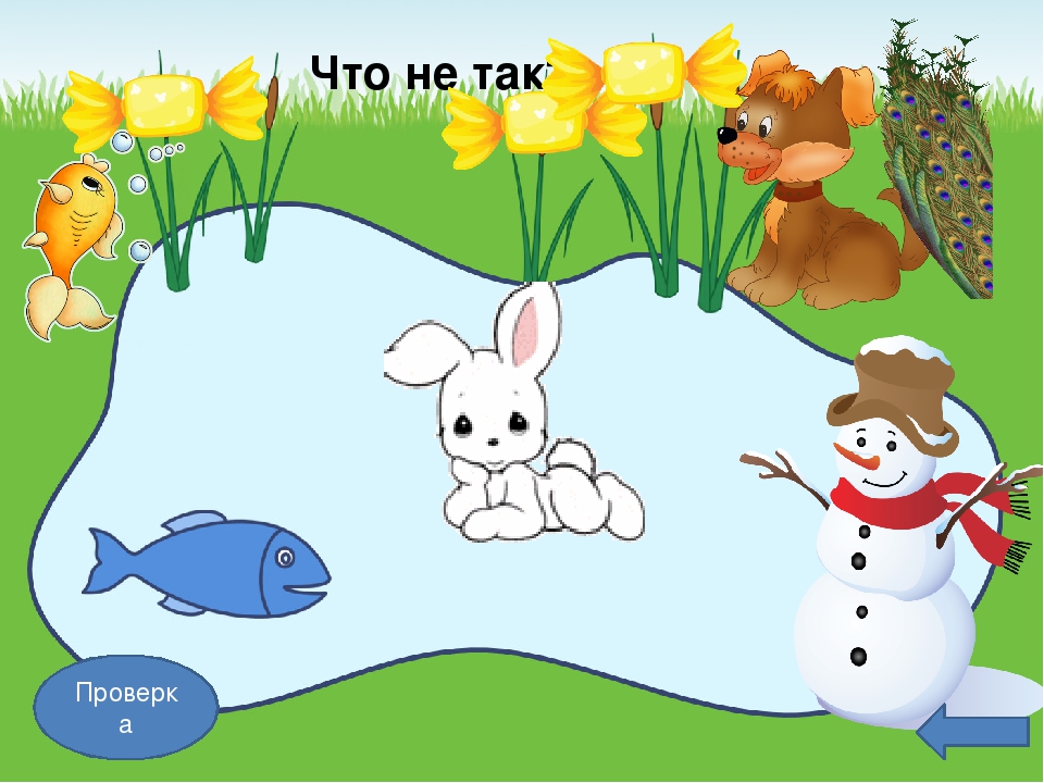 Презентация по зкологическому воспитанию"Экотропа"
