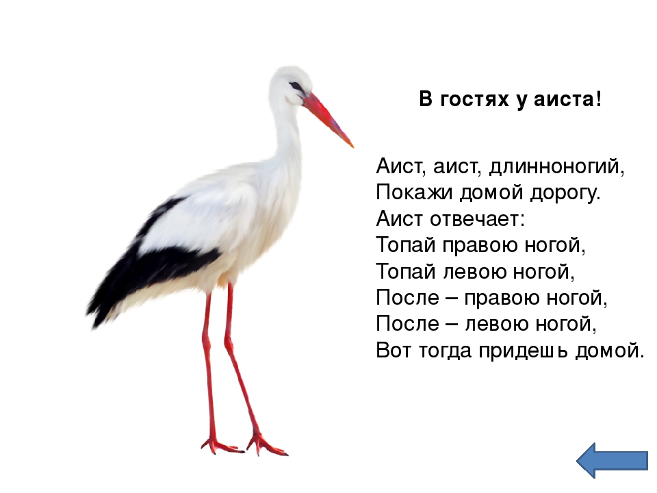 Презентация по зкологическому воспитанию"Экотропа"