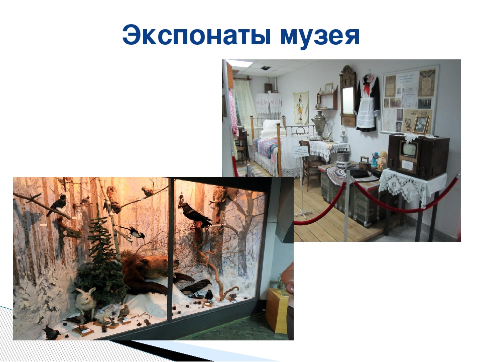 Презентация к познавательному занятию в старшей группе "Мой Реутов"