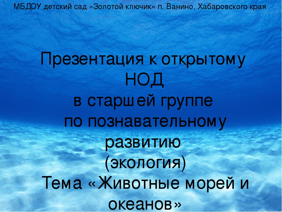Презентация к конспекту НОД "Животные морей и океанов"