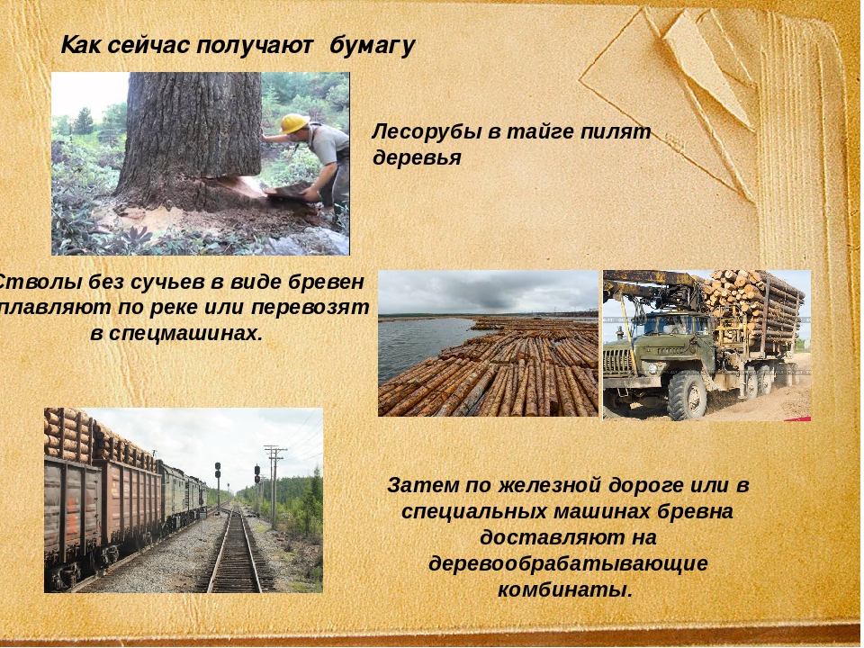 Презентация к конспекту НОД с использованием ИКТ «Как появилась книга?» для подготовительной группы