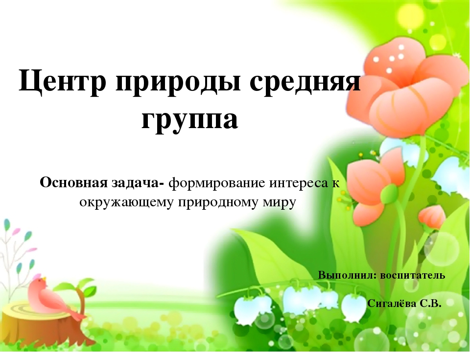 Презентация по экологическому воспитанию"Центр природы средняя группа"