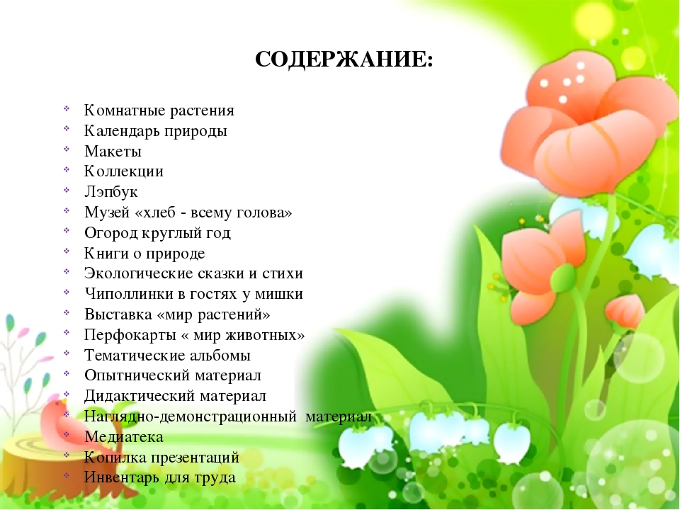 Презентация по экологическому воспитанию"Центр природы средняя группа"