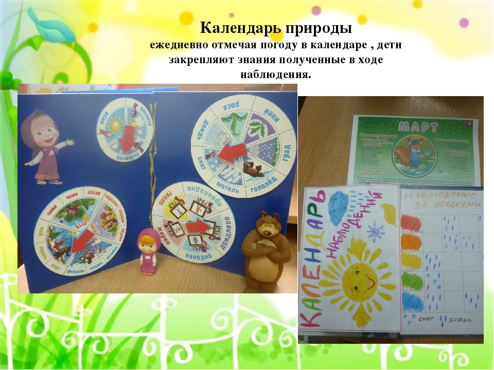 Презентация по экологическому воспитанию"Центр природы средняя группа"