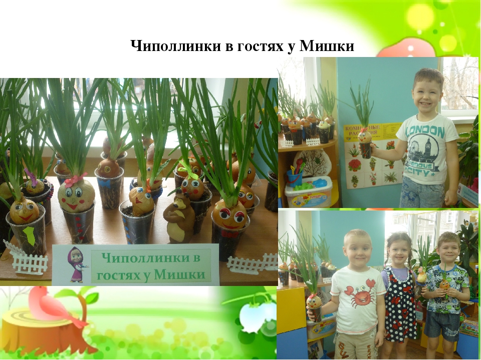 Презентация по экологическому воспитанию"Центр природы средняя группа"