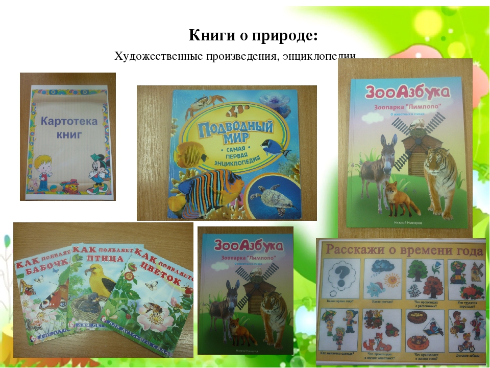 Презентация по экологическому воспитанию"Центр природы средняя группа"